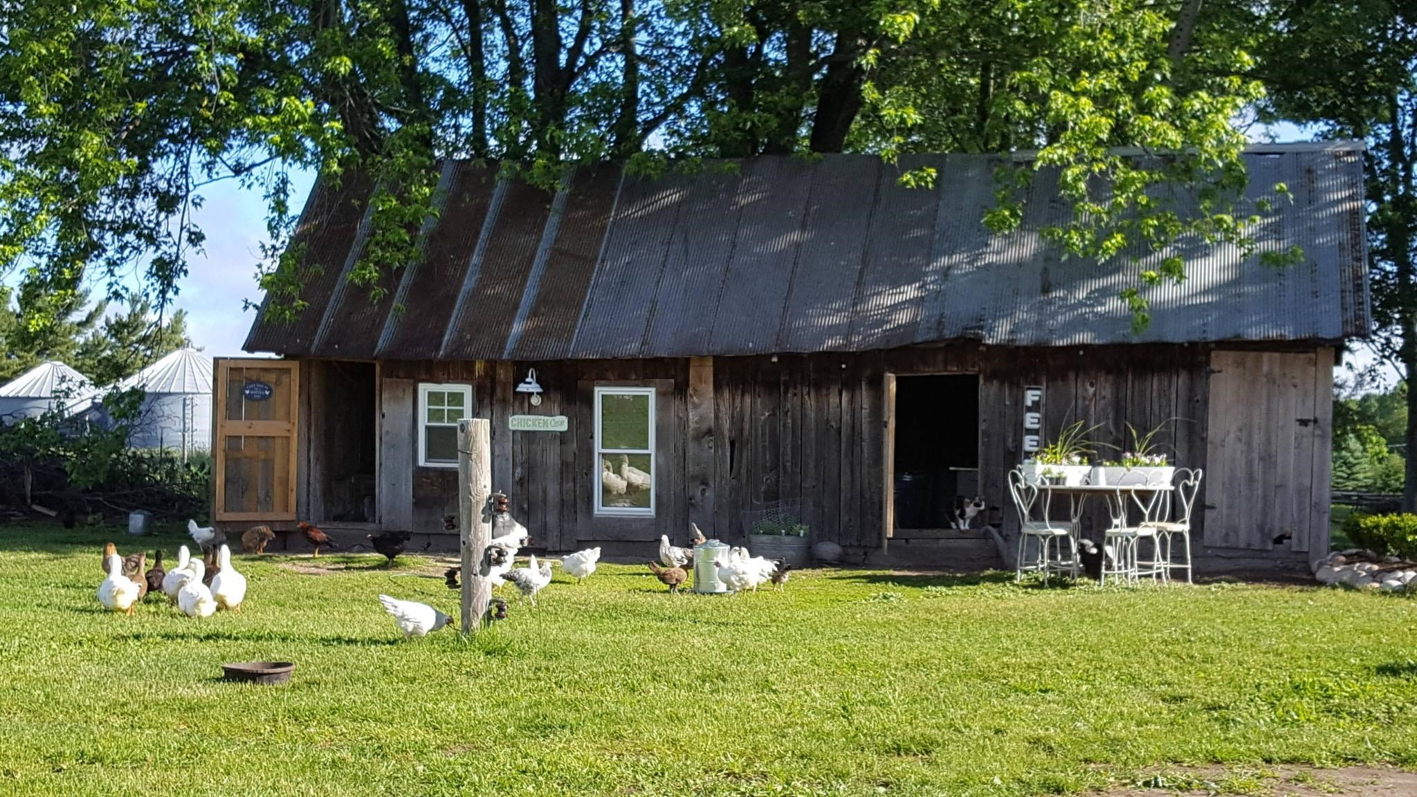 7550 Townline Road Kingsley, MI 49649 - Photo 67 of 89 1940519-4899ce99-056a-40d1-8a6f-97131d6555e3.JPG