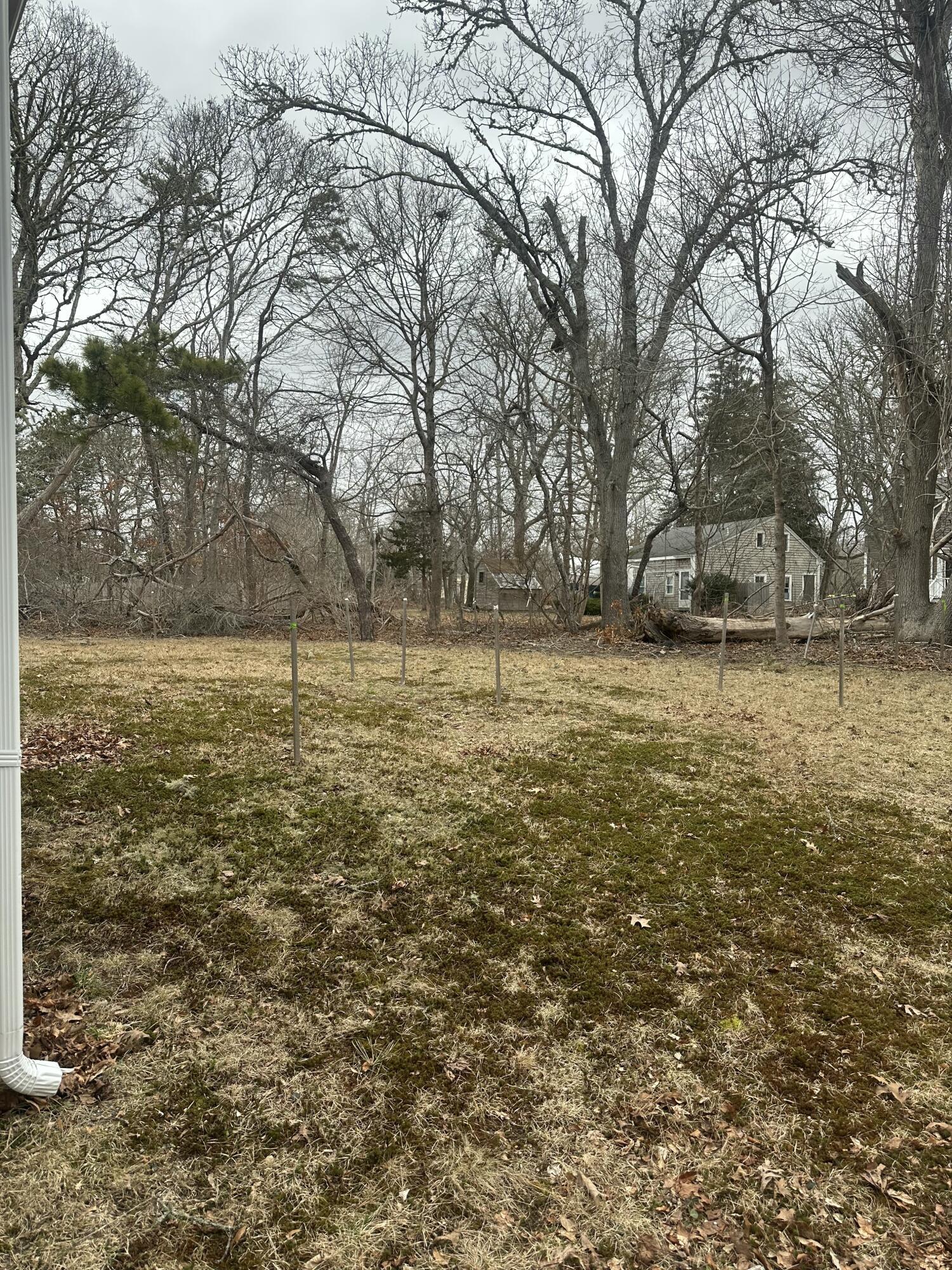 33 Old Colony Road Harwich, MA 02645 - Photo 5 of 16 a view of a yard with an trees