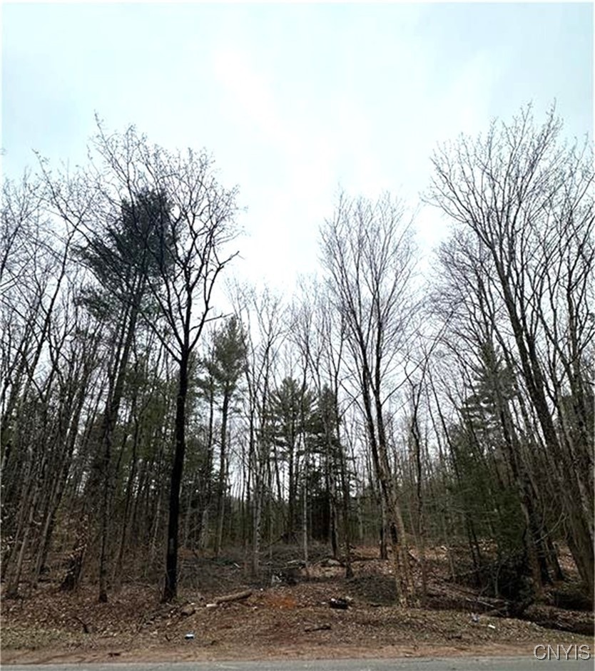 158 Potter Road West Monroe, NY 13167 - Photo 1 of 1 Gallery Image 1