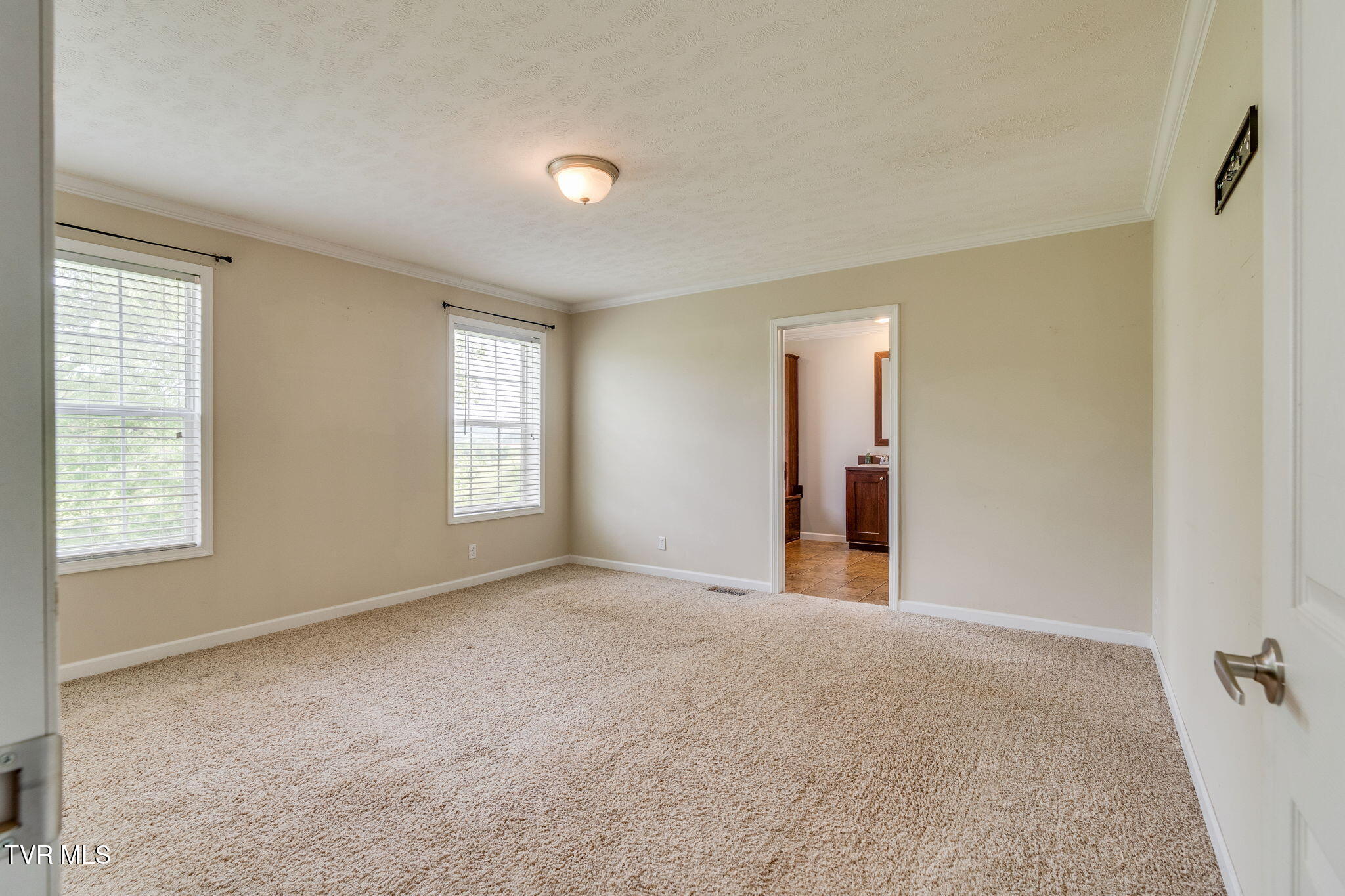 474 Thornburg Road Fall Branch, TN 37656 - Photo 19 of 87 017