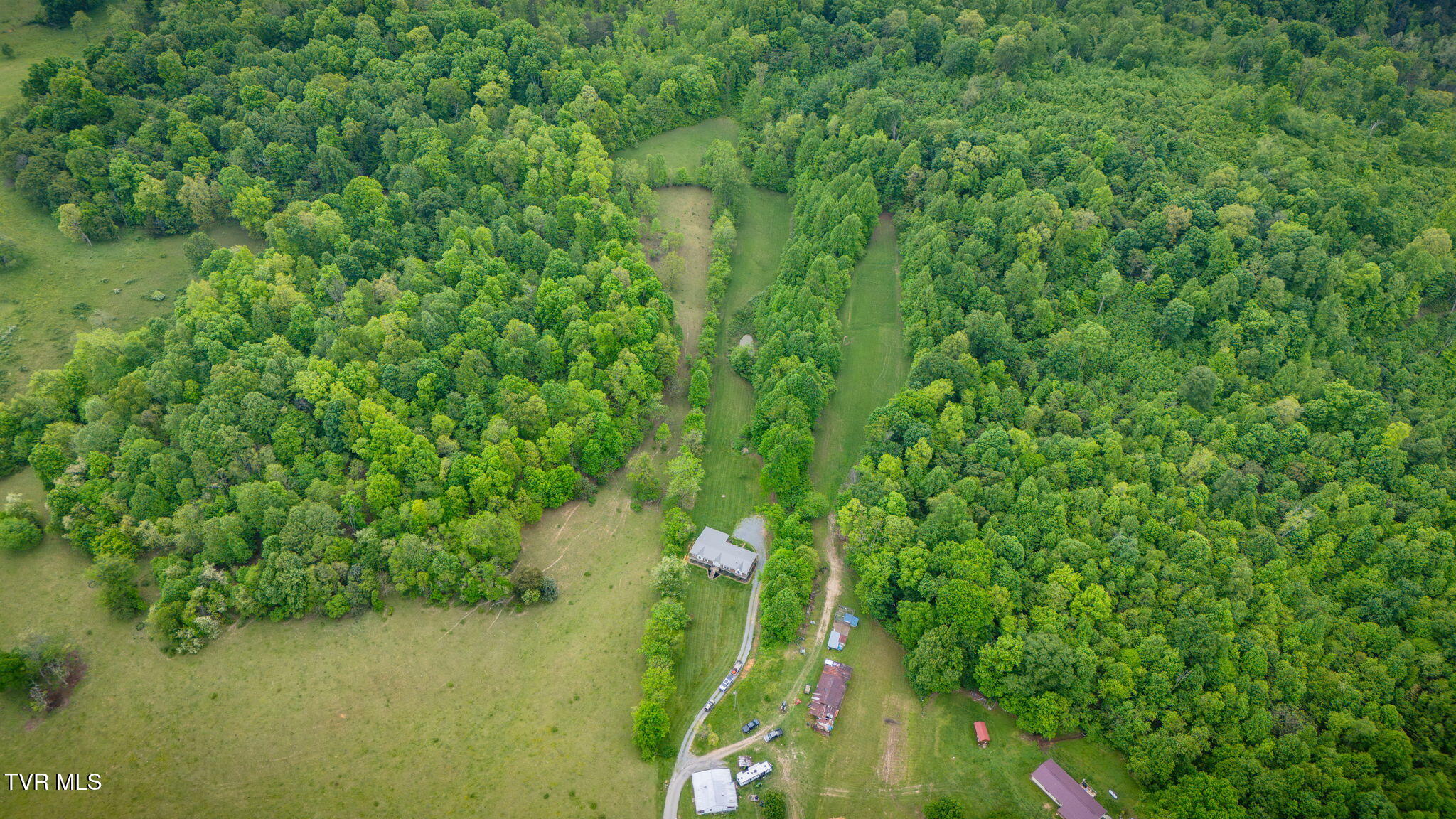 474 Thornburg Road Fall Branch, TN 37656 - Photo 39 of 87 101
