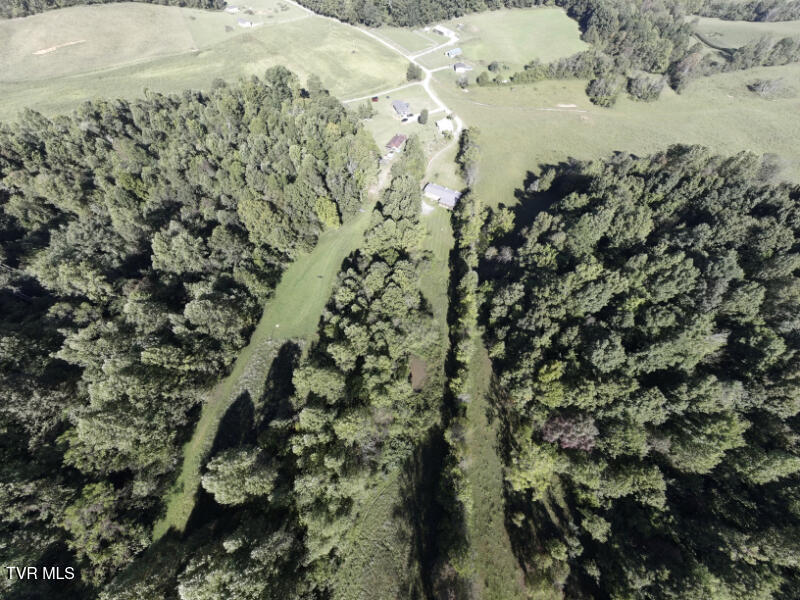 474 Thornburg Road Fall Branch, TN 37656 - Photo 42 of 87 0001209_panorama_0010