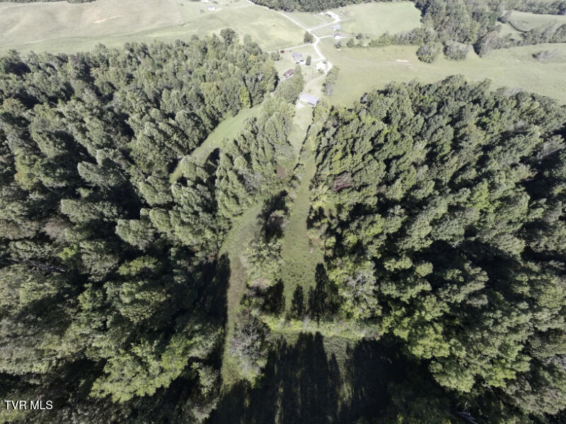 474 Thornburg Road Fall Branch, TN 37656 - Photo 43 of 87 0001210_panorama_0010