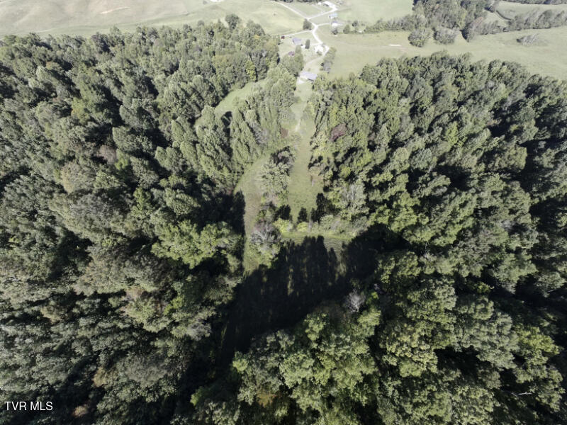 474 Thornburg Road Fall Branch, TN 37656 - Photo 44 of 87 0001211_panorama_0010