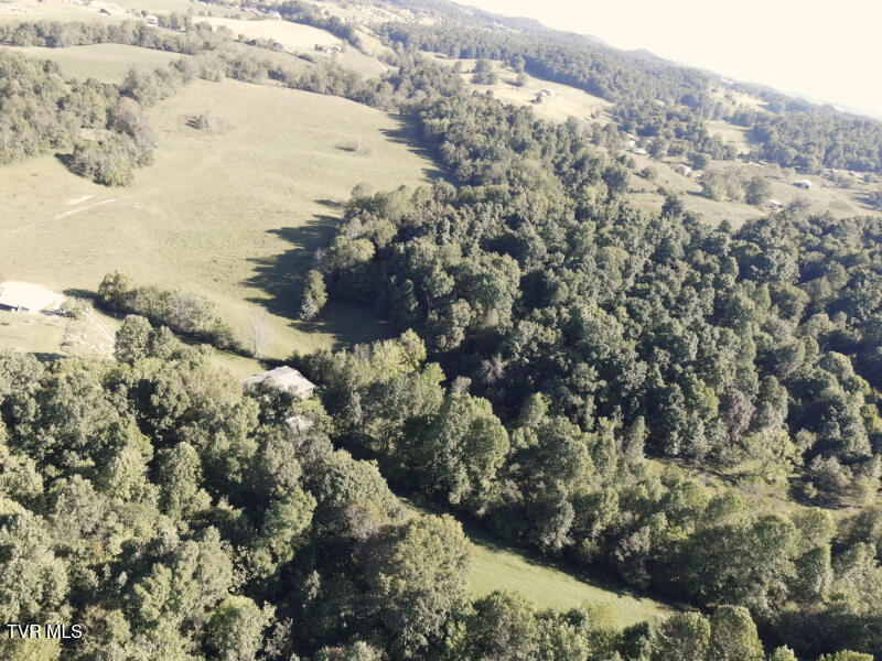 474 Thornburg Road Fall Branch, TN 37656 - Photo 45 of 87 0001212_panorama_0009