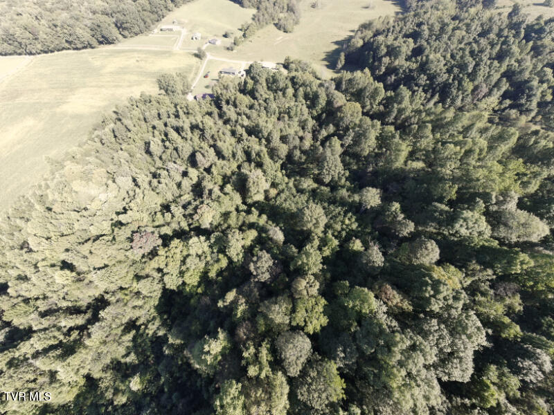 474 Thornburg Road Fall Branch, TN 37656 - Photo 46 of 87 0001213_panorama_0010