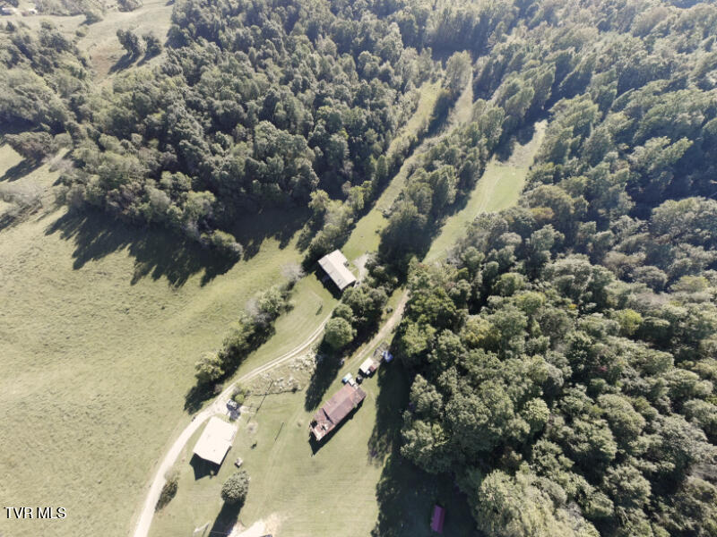 474 Thornburg Road Fall Branch, TN 37656 - Photo 47 of 87 0001214_panorama_0010