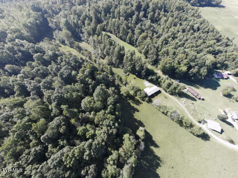 474 Thornburg Road Fall Branch, TN 37656 - Photo 49 of 87 0001216_panorama_0010