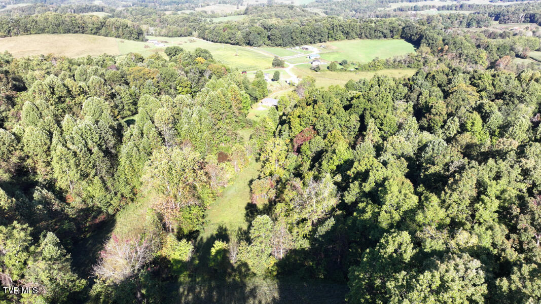 474 Thornburg Road Fall Branch, TN 37656 - Photo 62 of 87 DJI_20251001094700_0013_D