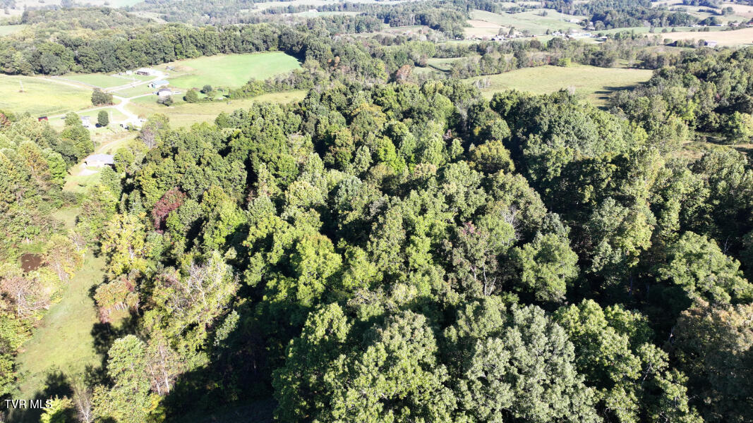 474 Thornburg Road Fall Branch, TN 37656 - Photo 63 of 87 DJI_20251001094709_0014_D