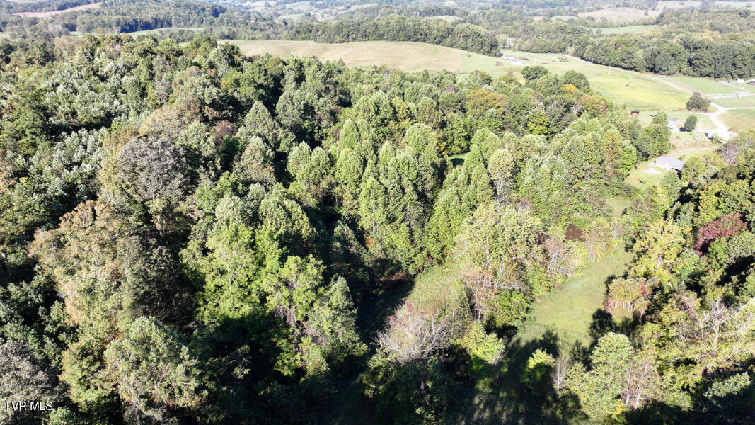 474 Thornburg Road Fall Branch, TN 37656 - Photo 64 of 87 DJI_20251001094717_0015_D