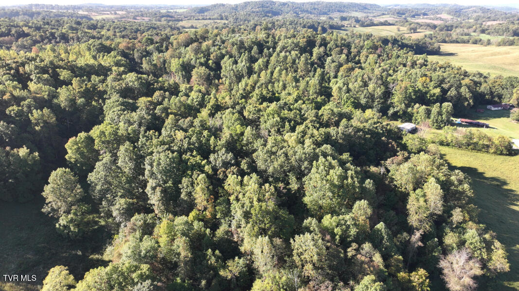 474 Thornburg Road Fall Branch, TN 37656 - Photo 65 of 87 DJI_20251001094838_0016_D