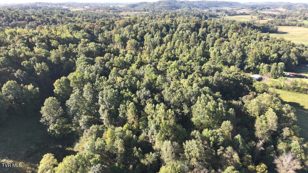 474 Thornburg Road Fall Branch, TN 37656 - Photo 66 of 87 DJI_20251001094841_0017_D