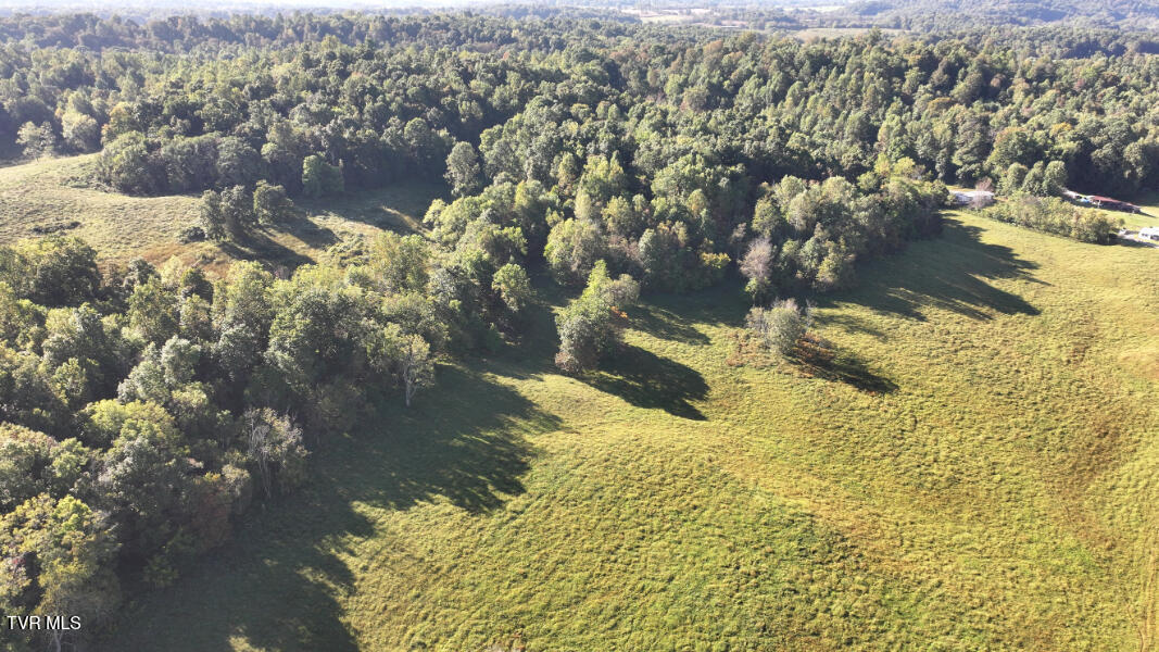 474 Thornburg Road Fall Branch, TN 37656 - Photo 68 of 87 DJI_20251001094945_0019_D