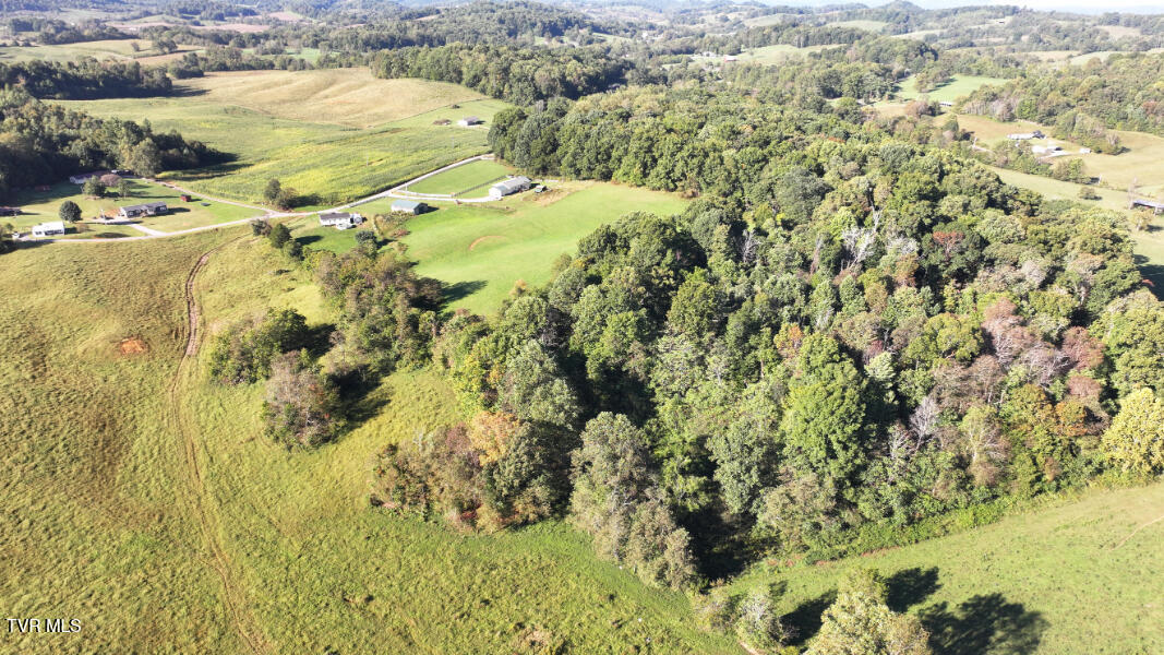 474 Thornburg Road Fall Branch, TN 37656 - Photo 70 of 87 DJI_20251001095003_0021_D