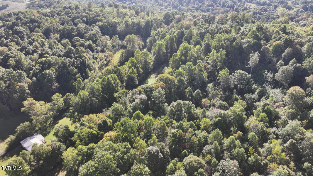 474 Thornburg Road Fall Branch, TN 37656 - Photo 74 of 87 DJI_20251001100535_0026_D