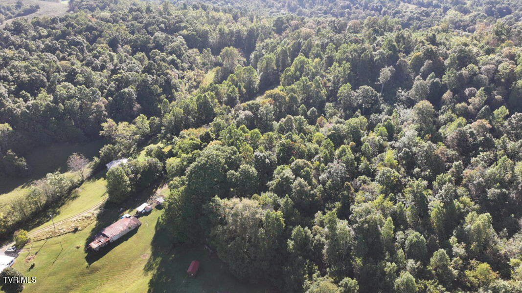 474 Thornburg Road Fall Branch, TN 37656 - Photo 75 of 87 DJI_20251001100558_0027_D
