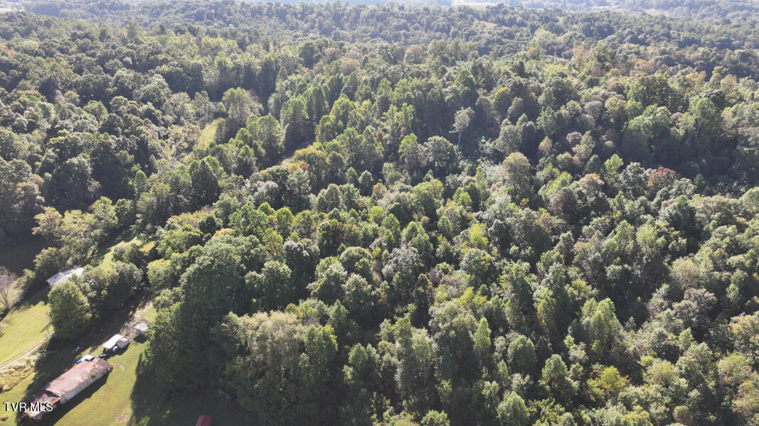 474 Thornburg Road Fall Branch, TN 37656 - Photo 76 of 87 DJI_20251001100630_0028_D