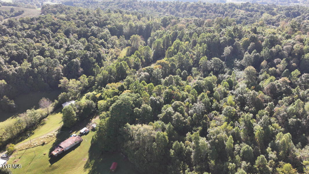 474 Thornburg Road Fall Branch, TN 37656 - Photo 77 of 87 DJI_20251001100640_0029_D