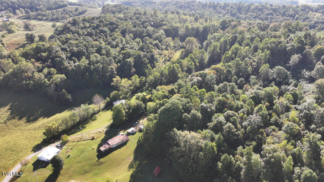 474 Thornburg Road Fall Branch, TN 37656 - Photo 78 of 87 DJI_20251001100649_0030_D