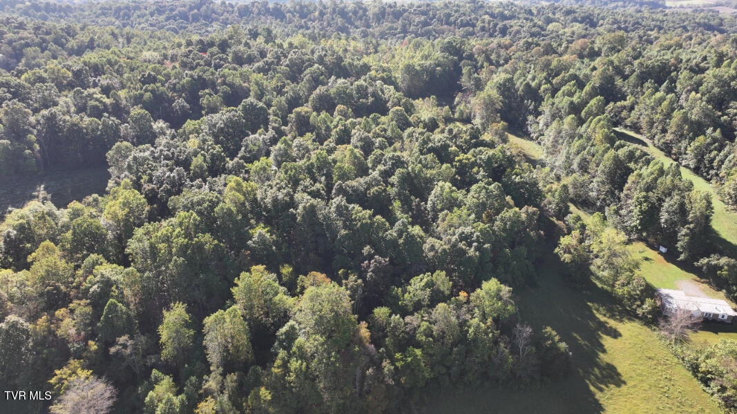 474 Thornburg Road Fall Branch, TN 37656 - Photo 79 of 87 DJI_20251001100755_0031_D