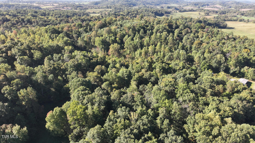 474 Thornburg Road Fall Branch, TN 37656 - Photo 80 of 87 DJI_20251001100849_0032_D