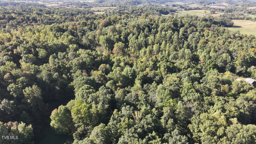 474 Thornburg Road Fall Branch, TN 37656 - Photo 81 of 87 DJI_20251001100913_0033_D