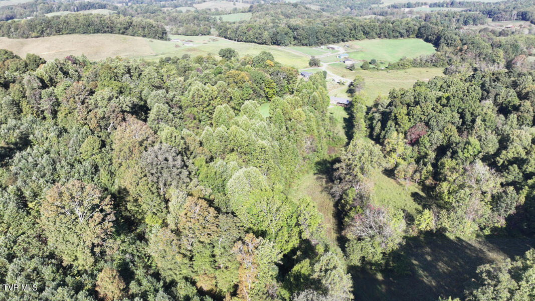 474 Thornburg Road Fall Branch, TN 37656 - Photo 82 of 87 DJI_20251001101413_0034_D