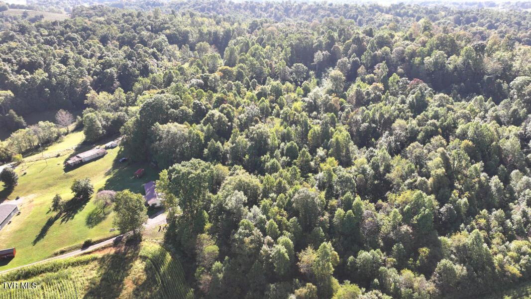 474 Thornburg Road Fall Branch, TN 37656 - Photo 83 of 87 DJI_20251001101532_0035_D