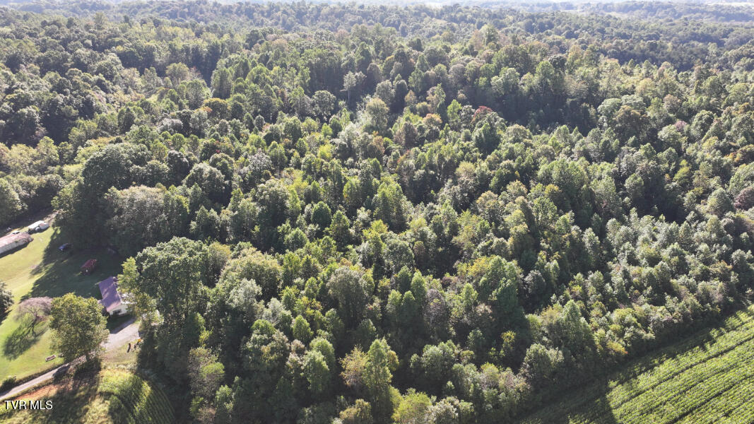 474 Thornburg Road Fall Branch, TN 37656 - Photo 84 of 87 DJI_20251001101539_0036_D