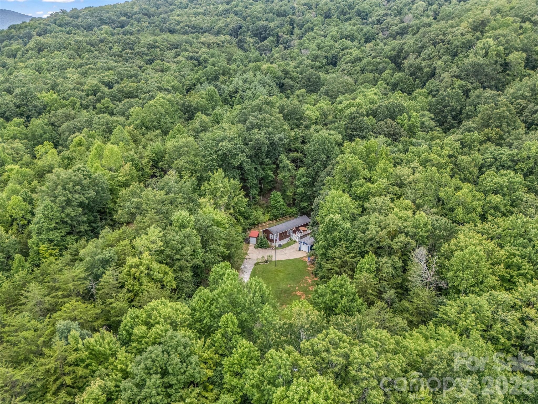479 Camp Hill Road Mill Spring, NC 28756 - Photo 44 of 48