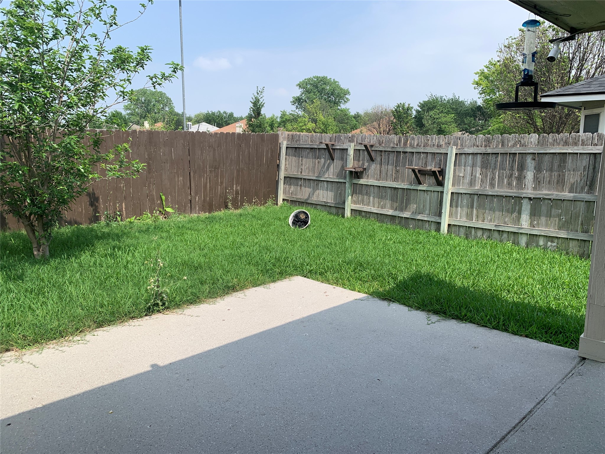 150 Elmer Cove Kyle, TX 78640 - Photo 9 of 11 a view of backyard with green space