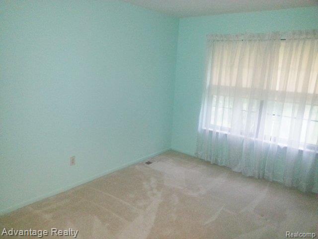 865 Langdon Court Rochester, MI 48307 - Photo 16 of 17 20130625_092919.jpg