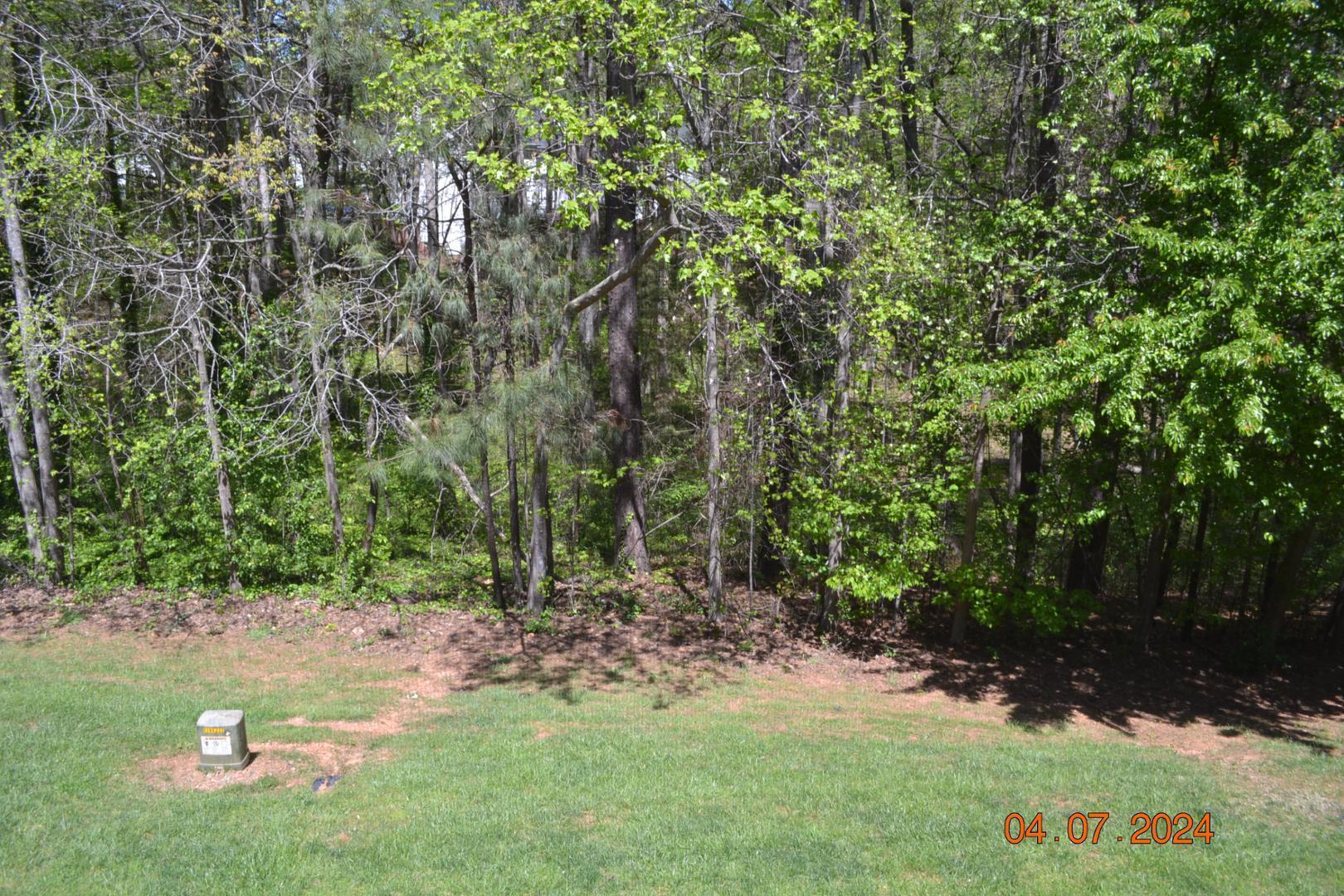 4506 Mistiflower Drive Raleigh, NC 27606 - Photo 9 of 27 a backyard of a house with lots of green space