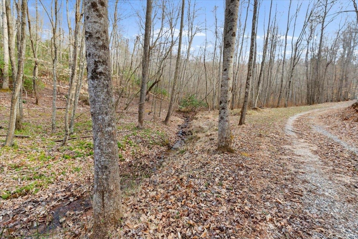 193 Timber Creek Road Stuart, VA 24171 - Photo 67 of 87 Gallery Image 67
