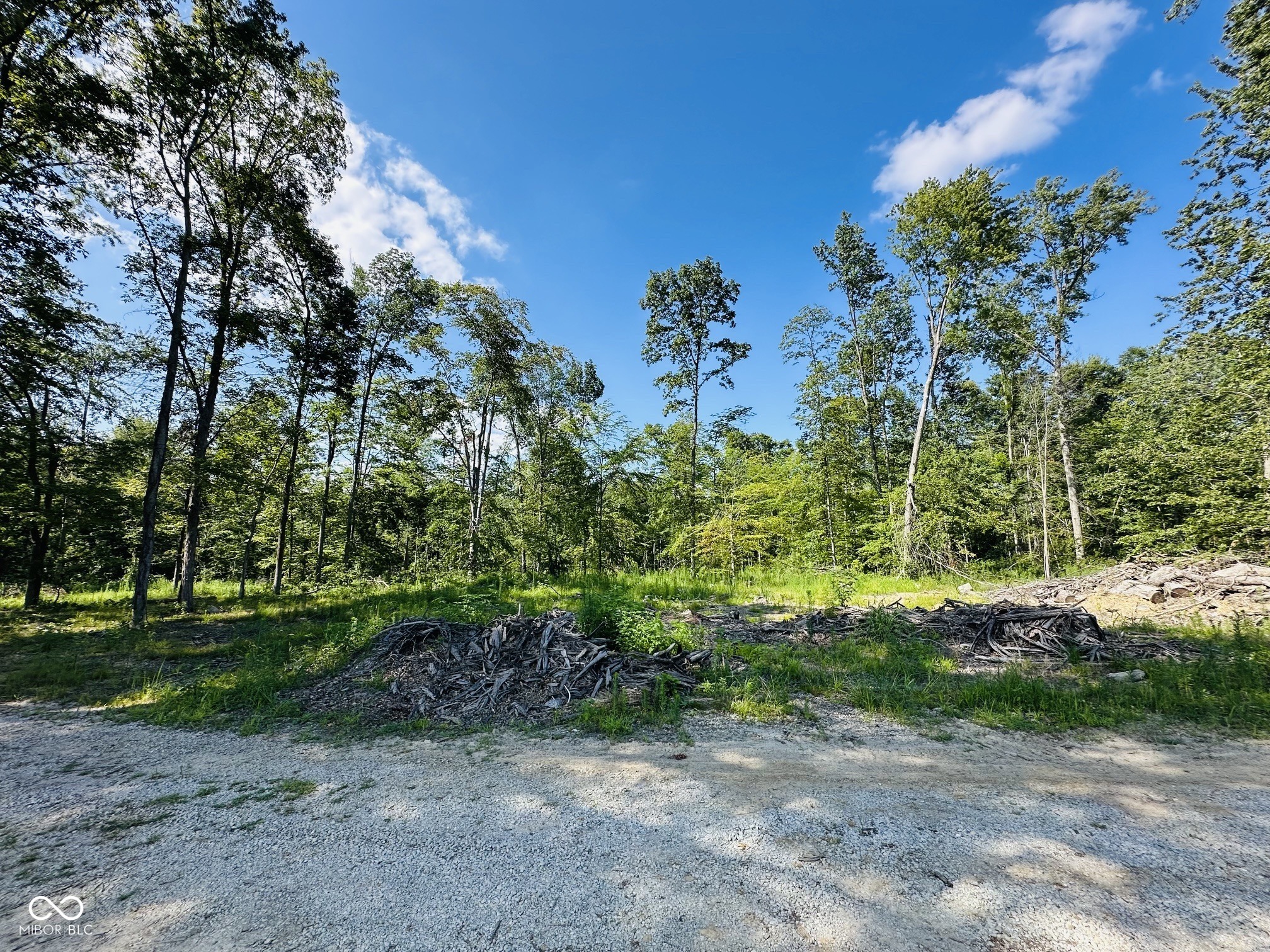 Tract A West Private Rd 775 South Commiskey, IN 47227 - Photo 5 of 9 Gallery Image 5