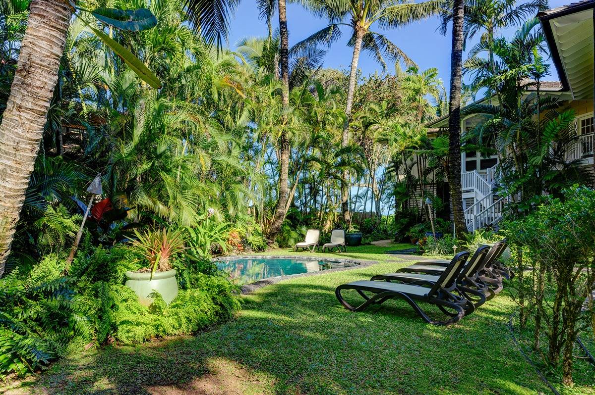 7324 Alealea Road Hanalei, HI 96714 - Photo 22 of 30 a view of a park with a bench in a garden
