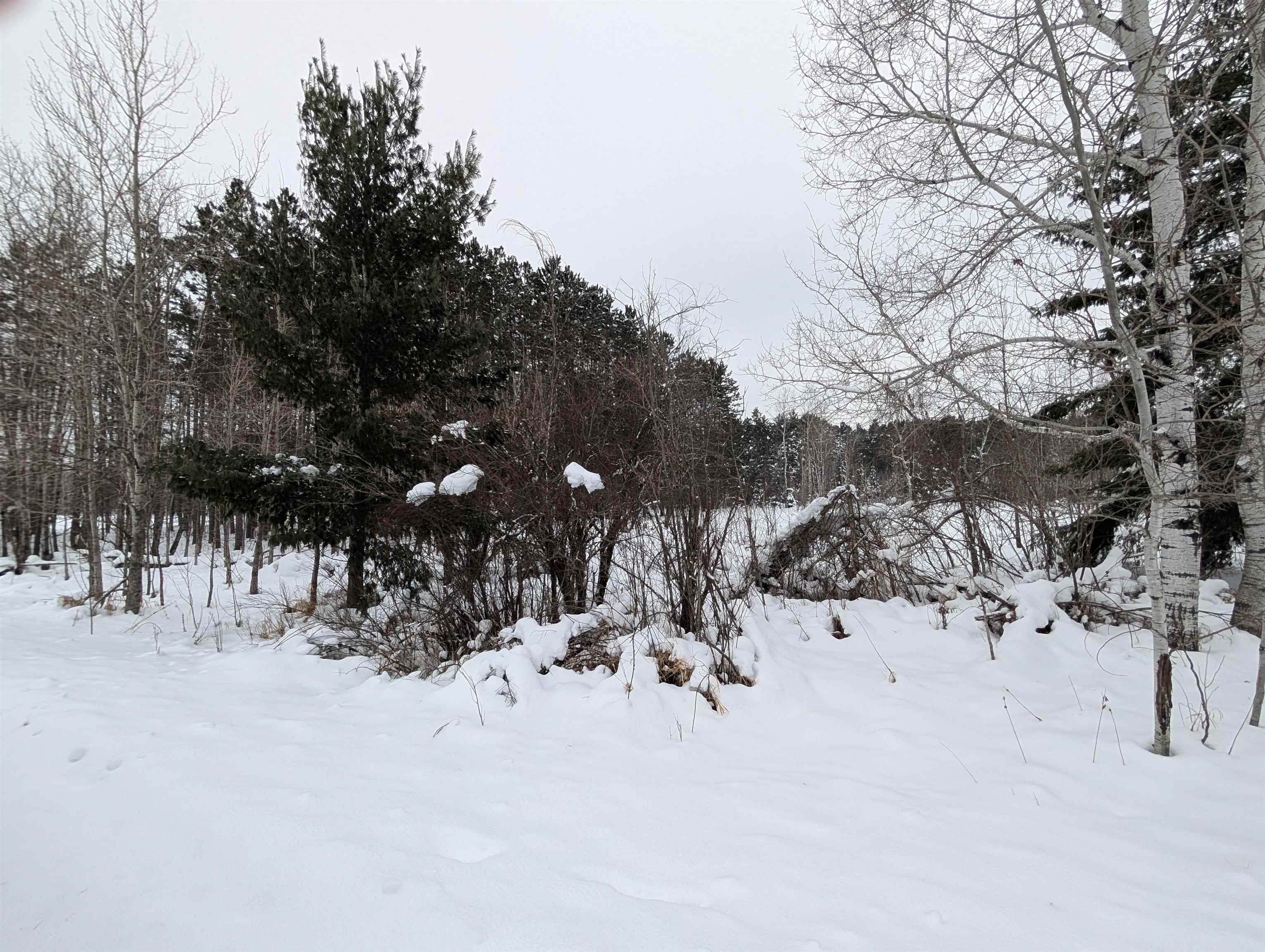View of yard covered in snow