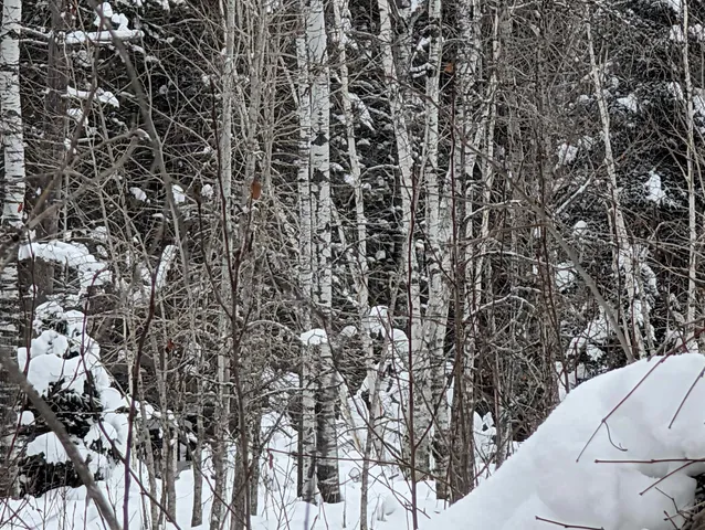 $57,200 | 57695 Four Corners Road, Mason, WI 54856