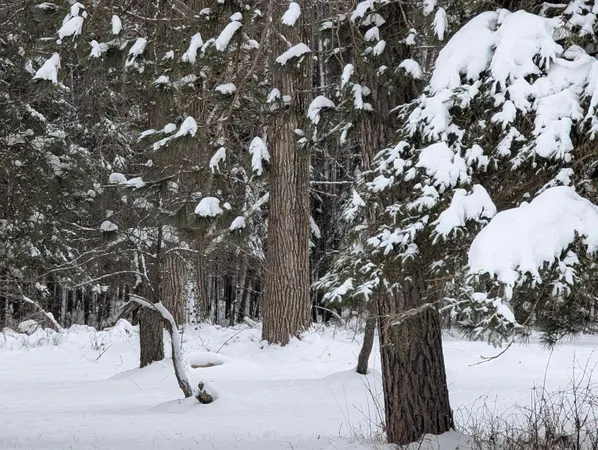 $57,200 | 57695 Four Corners Road, Mason, WI 54856