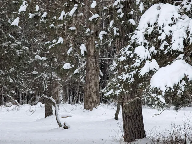 $57,200 | 57695 Four Corners Road, Mason, WI 54856