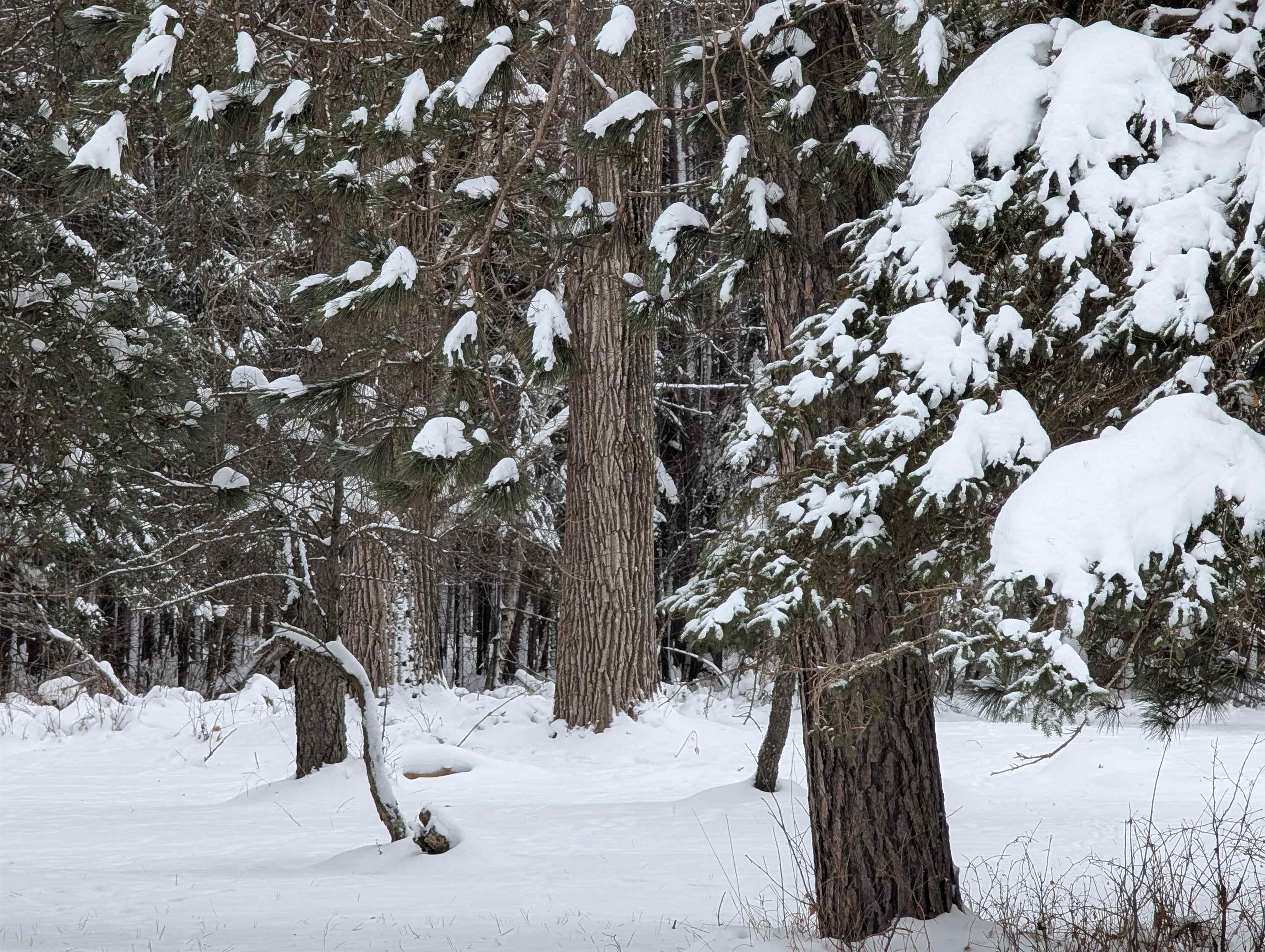 57695 Four Corners Road Mason, WI 54856 - Photo 3 of 3 View of community