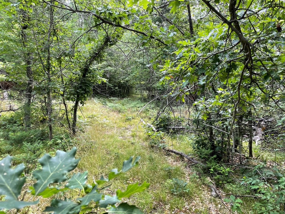 80-acres East Pierce Road Harrison, MI 48625 - Photo 28 of 33