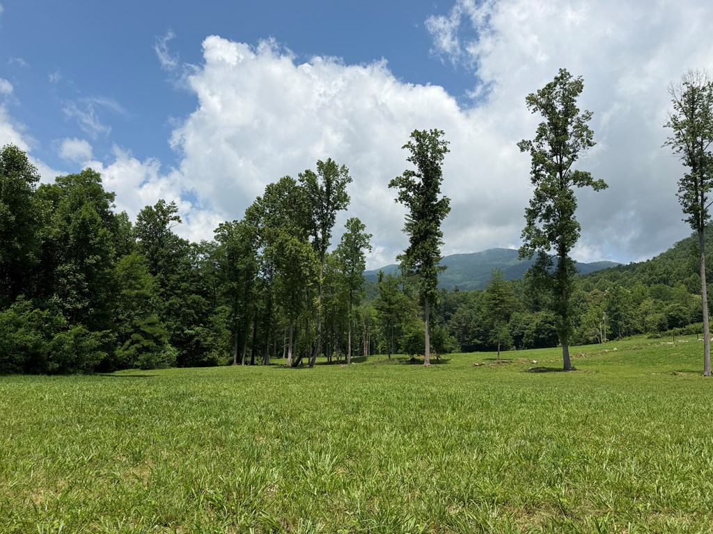 1446 Muskrat Creek Road Hayesville, NC 28904 - Photo 13 of 108