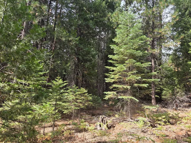 a view of outdoor space