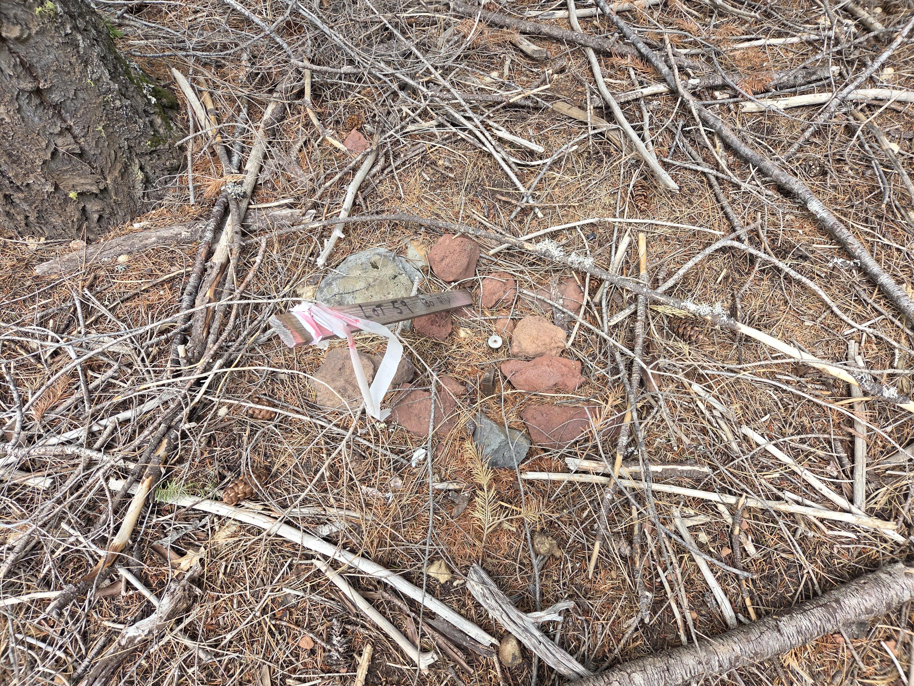 Lot 28-29 Emerald Way Shingletown, CA 96088 - Photo 9 of 14