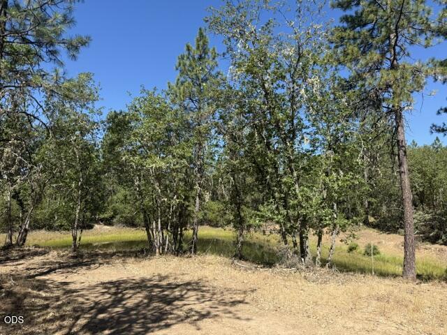 Merlin Sanitarium Road, Unit 27 Merlin, OR 97532 - Photo 3 of 13 a view of a yard with trees