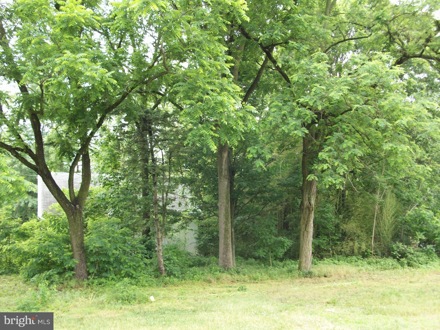 2201 Church Road Cinnaminson, NJ 08077 - Photo 2 of 7 Gallery Image 2