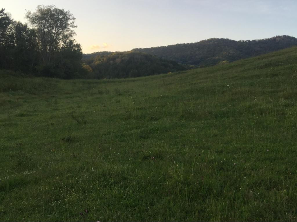 Tbd Tbd Gap Mountain Road Greeneville, TN 37745 - Photo 5 of 10 Photo 5