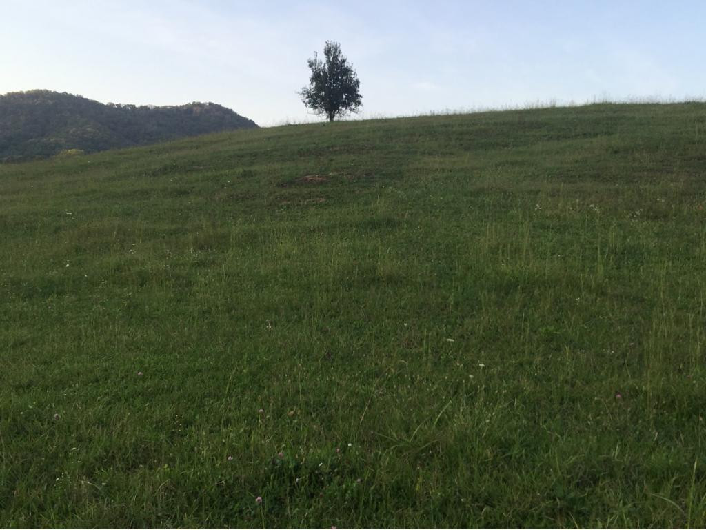 Tbd Tbd Gap Mountain Road Greeneville, TN 37745 - Photo 6 of 10 Photo 6